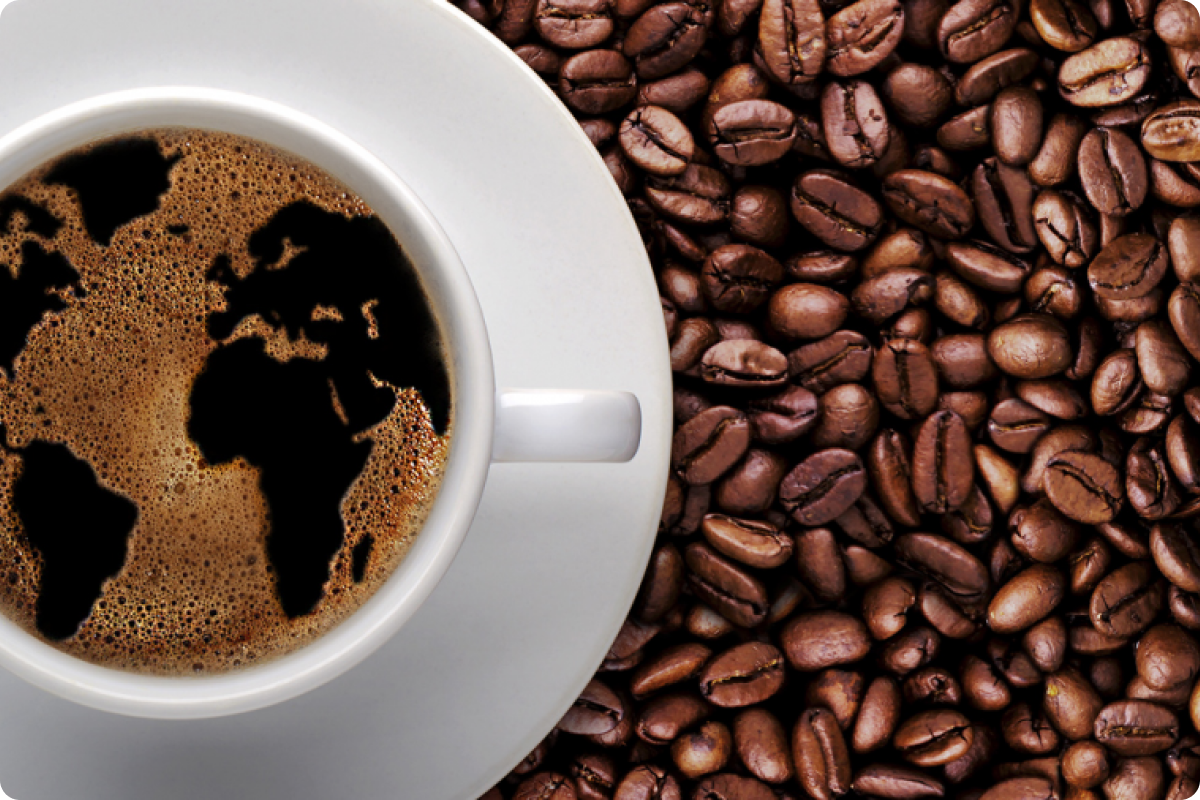 What Is Coffee and How Is It Made? From Plant to Cup