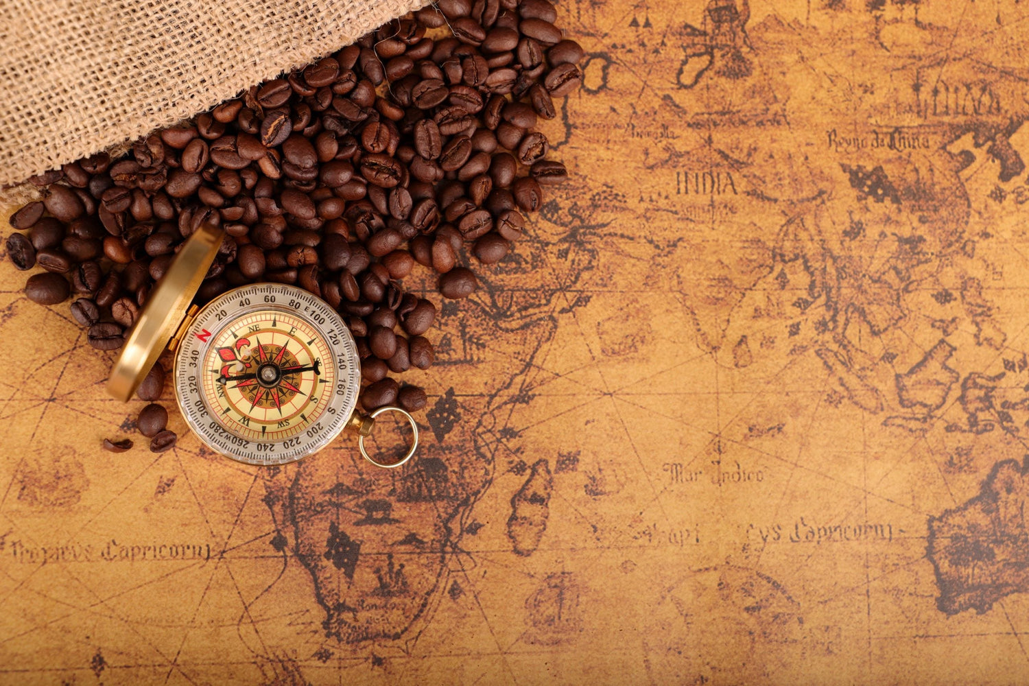 ☕ The History of Coffee: The Origin of the World’s Favorite Drink